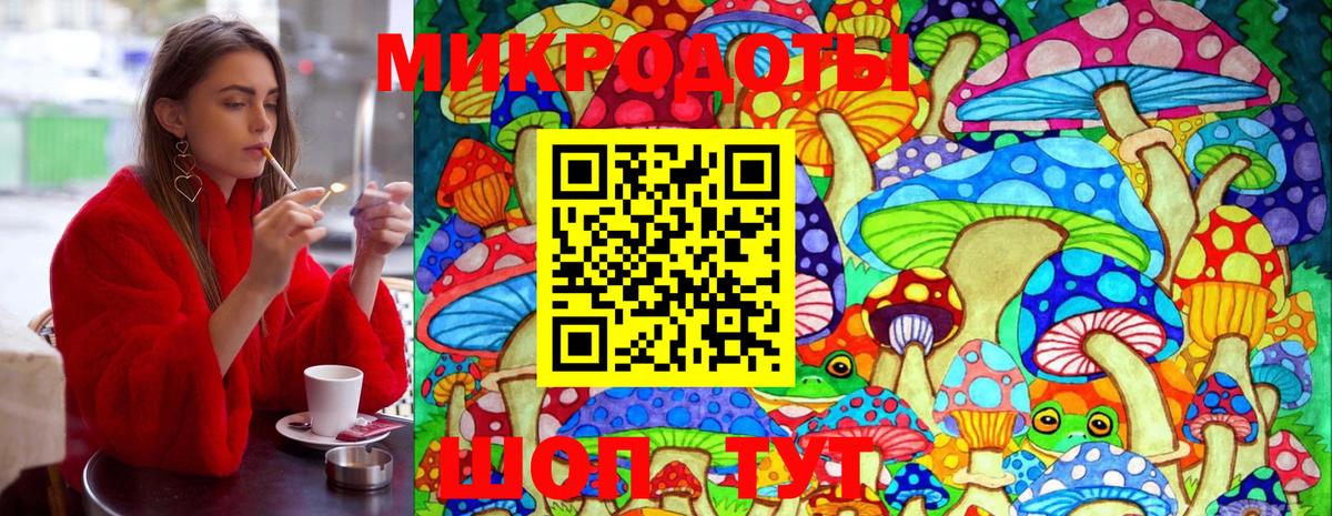 Галлюциногенные грибы Psilocybe Семилуки