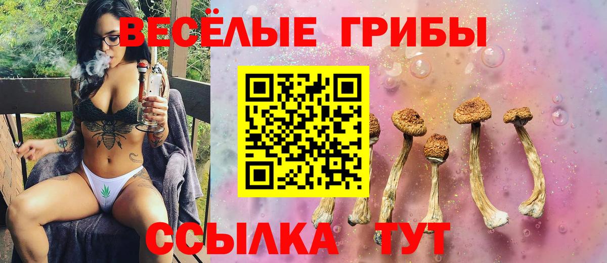 Галлюциногенные грибы прущие грибы  наркошоп  Семилуки  Вход с VPN 